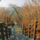 침산공원 이미지