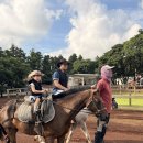 전동목장 | 제주 아이와 가볼만한곳 목장카페 밭디｜33개월 아이 첫 승마체험 후기｜85kg 넘은 아빠 대신 삼촌과 함께