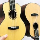 반려악기 우쿨렐레 이미지