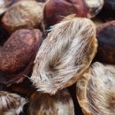 입암경희한의원 이미지