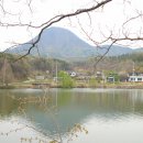 맑은산 한우농장 이미지