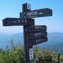 맹*재 - 안양시 동안구 | 맹*재