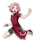 사쿠라(SAKURA) 이미지