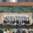 진흥초등학교 이미지