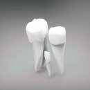 한결치과의원 이미지