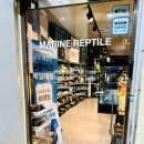 감염병으로부터 우리 아이 건강하게 키우기 | 서울 파충류샵 마린렙타일 펫테일 게코 도마뱀 분양 후기
