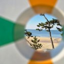 이글스파크펜션 이미지