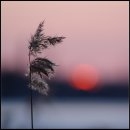 (주)천성