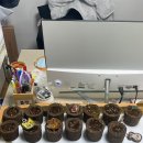 아름다운안암지역아동센터 이미지