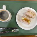 로베디(Robedi)