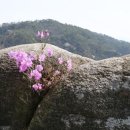 선녀와 나뭇꾼 이미지