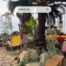 식물원옆카페 | 동탄 장지동 카페 카페피오레 | 숲속 분위기의 식물원카페 후기