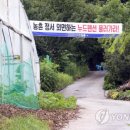 길목펜션민박 이미지