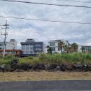 더 그랜드 섬오름 이미지