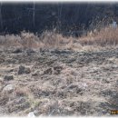 에코농장 이미지