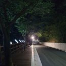 달빛쌈지공원 이미지