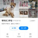 펫피르그루밍 이미지