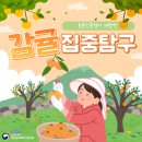 감귤홍보관 이미지