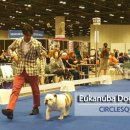 써클켄넬 이미지