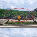 용지온천 이미지