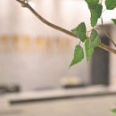 서울이편한치과의원 이미지