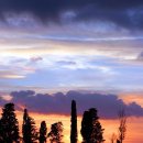 낭만콘서트 이미지