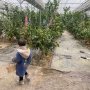 원규농장 이미지