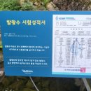 발왕산 관광케이블카 코스 | 평창 대관령 발왕산 관광케이블카 국내 최장 케이블카 여행 후기