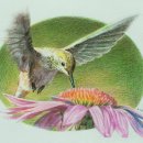 프리덤 미술 교습소 이미지