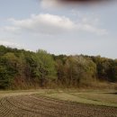 도경세탁 이미지