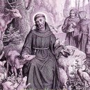 마이스터(MEISTER) 이미지