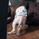 채선농장 이미지