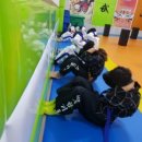 백호합기도 이미지