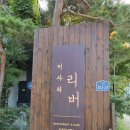 리버카페 | 경기도 한강뷰 카페 ! 하남 미사리 카페 리버 (뚝방길, 나무고아원)