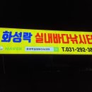 은수포낚시터 | 🔥"화성 락 실내 바다 낚시터" 문어 5마리 잡고 숙회까지! 여름 더위 날려버린 꿀잼 체험🎯