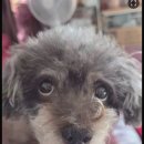 K.PT&FITNESS 이미지