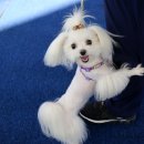 (주)엔비즈 이미지