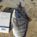 바다의왕자 이미지