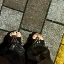 진가구리점