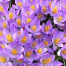 길따라행운 이미지