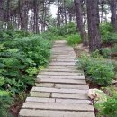 방주민박 Daum카페