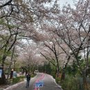 별봄차이나 네이버블로그