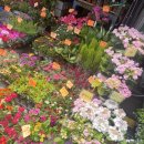 한일농약사 이미지