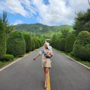 치산동물병원 | [나주여행] 나주 산림자원 연구소(나주 수목원) - 인생샷 무조건 겟! 여름휴가는 나주로♡