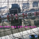 일영낚시터 이미지