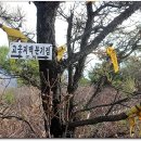 골안 이미지