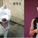 뉴이 카카오 검색결과