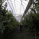 산외농장 이미지