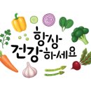 용인대석사튼튼태권도 이미지