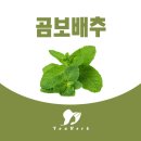 차*환 - 안양시 만안구 석수로6번길 | 차*환